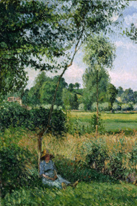 Cover of Salvos