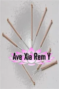 Cover of Ave Xia Rem Y