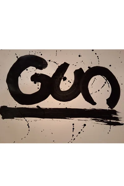 Cover of Gun