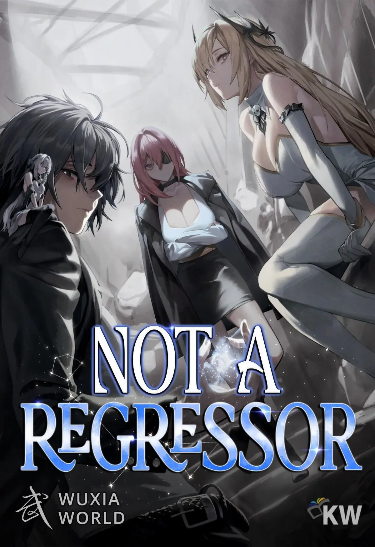 Cover of Not a Regressor