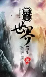 Cover of Perfect World