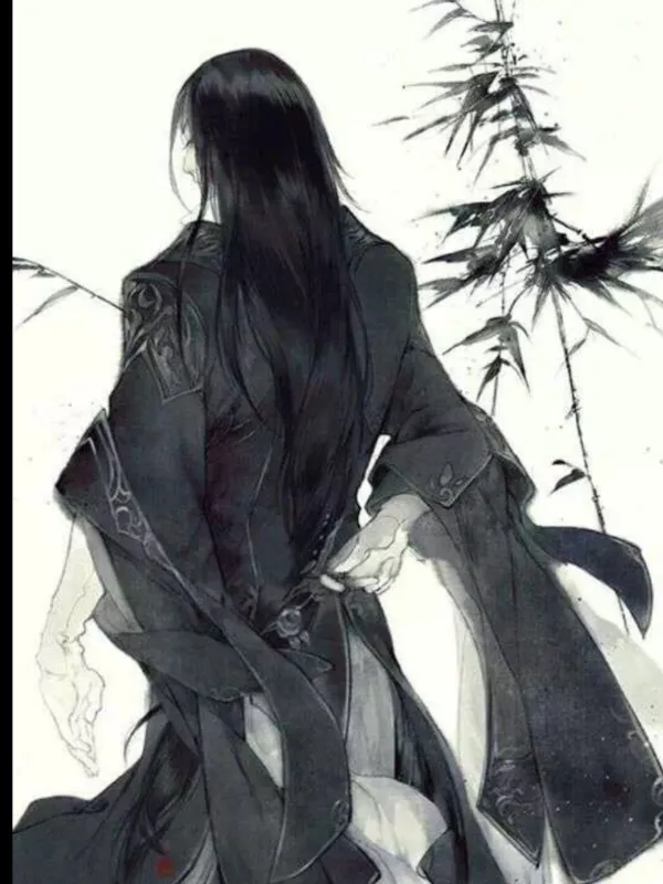 Cover of The reincarnation