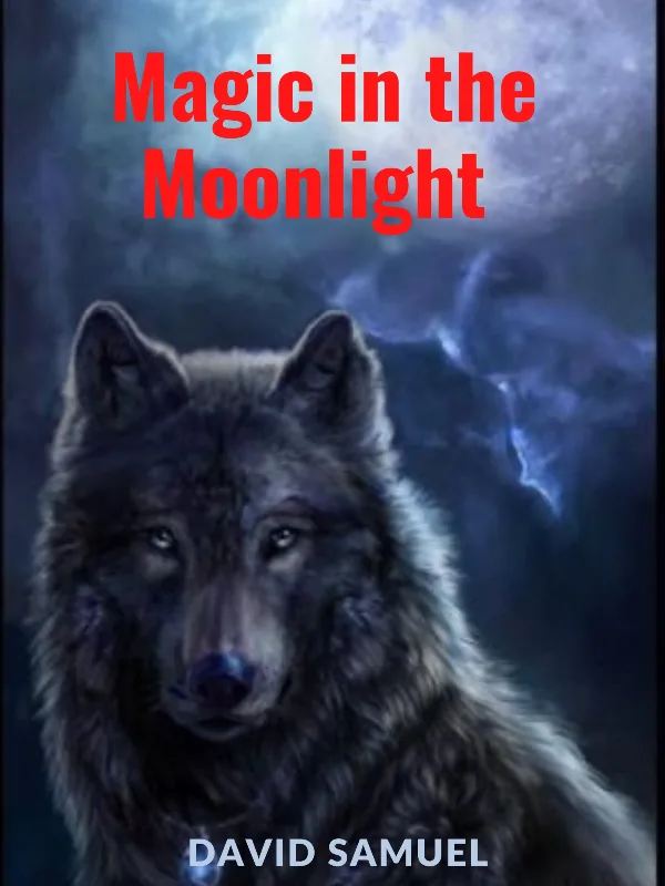 Cover of Magic in the Moonlight