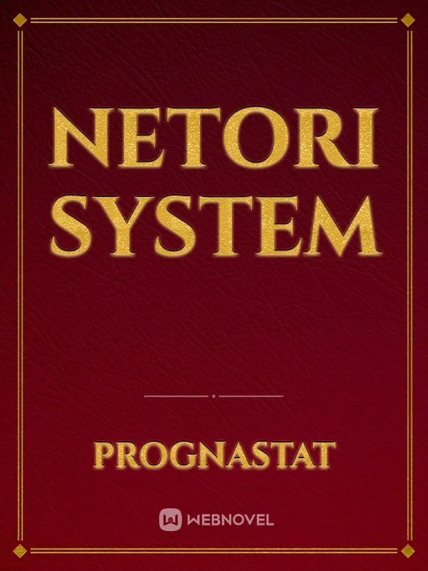 Cover of NeToRi System