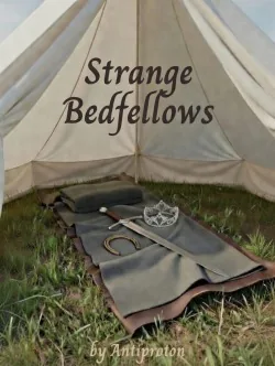 Cover of Strange Bedfellows