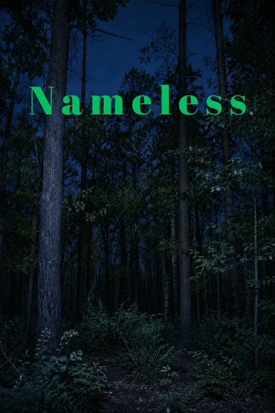 Cover of Nameless