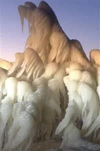 Cover of Ashes of the Arctic
