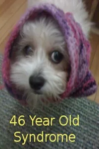 Cover of 46 Year Old Syndrome