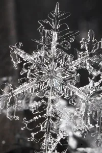 Cover of The Adventures of a Unique Snowflake [rewrite in progress]