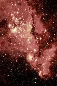 Cover of Amongst the Stars