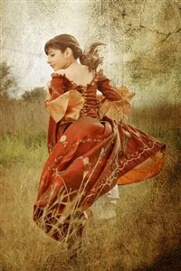 Cover of How to Kidnap your Princess