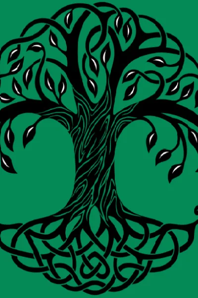 Cover of A Druid İn Game Of Thrones