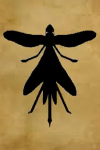 Cover of Formicea