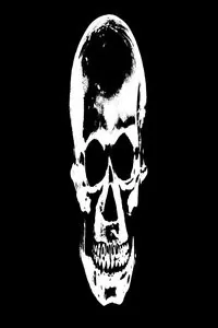Cover of The Path of Darkness
