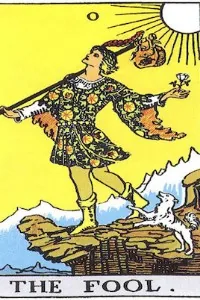 Cover of A Fool fooling around in another world