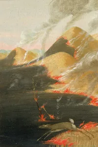 Cover of Affinity for Fire