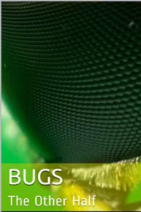 Cover of Bugs