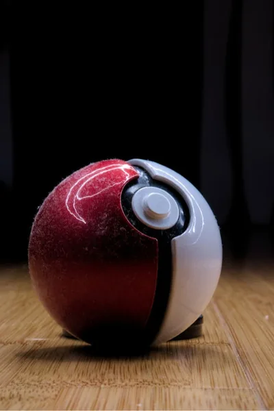 Cover of Pokémon Warrior