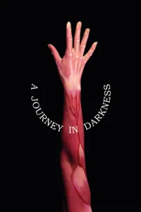 Cover of A Journey in Darkness