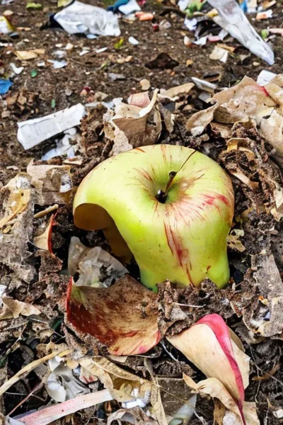 Cover of The Discarded, Half-Eaten Apple Core New Life. An OP Dungeon Post-Apocalyptic LitRPG.