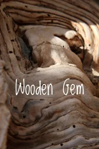Cover of Wooden Gem