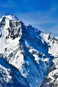 Cover of The Natural