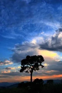 Cover of The Breath of Creation
