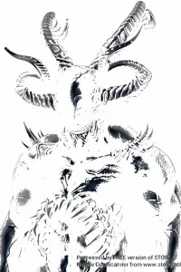 Cover of The science of magic(volume 1 the heretic )