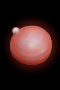 Cover of Dungeon Pearl