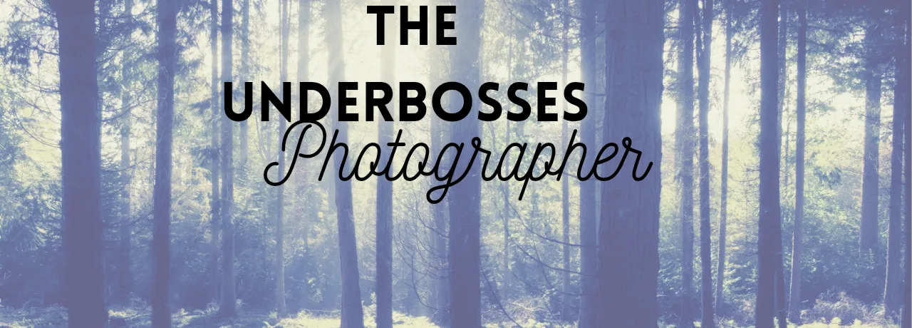 Cover of The Underbosses Photographer (M/M) | Tapas Web Community