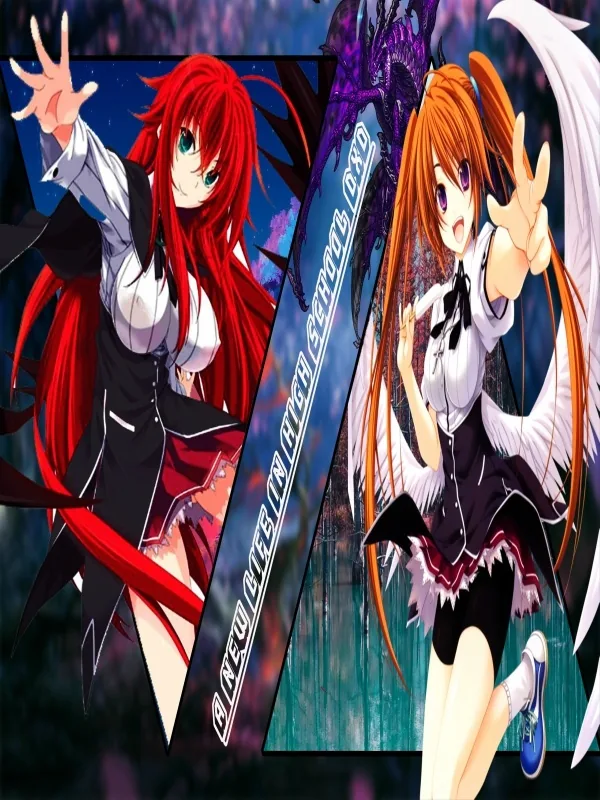 Cover of A new life in High School DXD