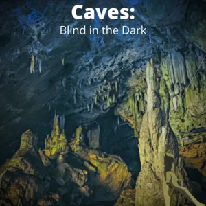 Cover of Caves: Blind in the Dark (BL) | Tapas Web Community